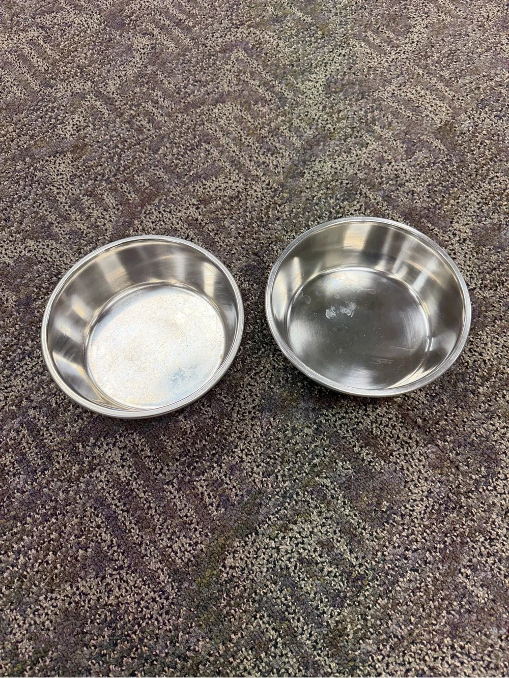 Vibrant Silver Pet Bowl with Black Non-Slip Rim set of 2